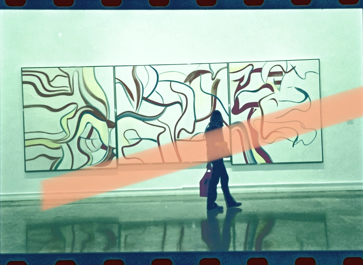 Original photographic negative Willem de Kooning three paintings IVAM Valencia 2001 35mm film Rare