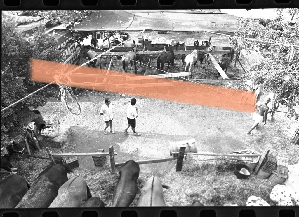 Original photographic negative Fira d'Agost Xàtiva horse fair grounds 1991 35mm film Rare