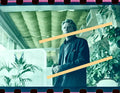 Negativo fotográfico original actor francés Alain Delon Actor 35mm film Rare