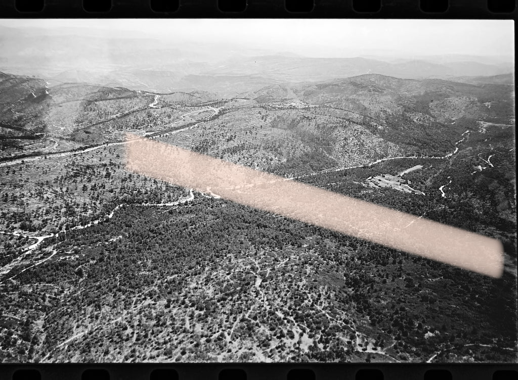 Originales Fotonegativ einer Waldlandschaft nach den Waldbränden in Los Serranos, Valencia, 35-mm-Film, selten