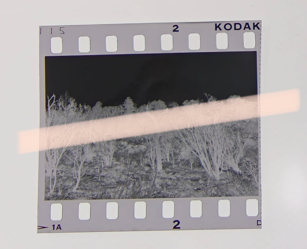 Negativo fotográfico original vegetación calcinada y humo entre el arbolado incendios Los Serranos Valencia 1994 35mm film Rare