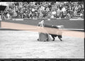 Negativo fotográfico original Cristina Sánchez novillera toreando al toro ante los tendidos Feria de Fallas Valencia 1992 35mm film Rare