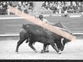 Negativo fotográfico original Cristina Sánchez novillera dando un pase al toro de perfil Feria de Fallas Valencia 1992 35mm film Rare