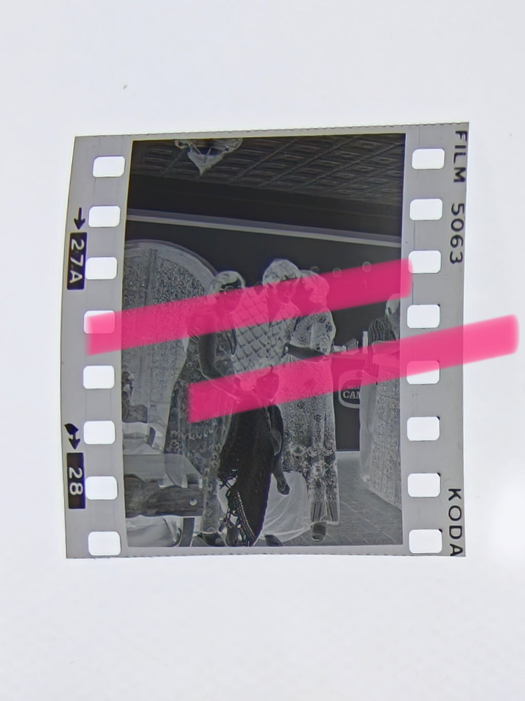Negativo fotográfico original Urtain boxeador rodeado de admiradoras en un local España 35mm film Rare