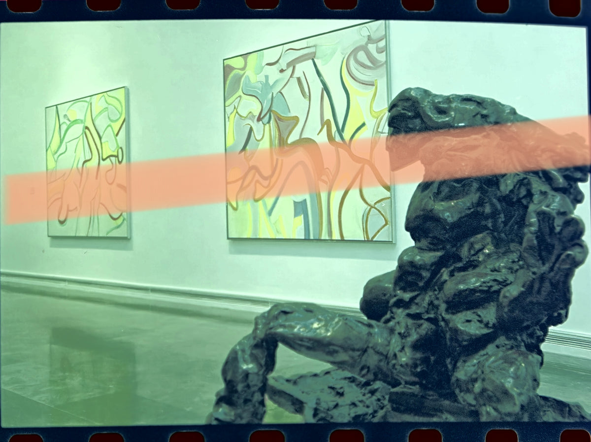 Original photographic negative Willem de Kooning sculpture and paintings IVAM Valencia 2001 35mm film Rare