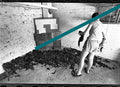 Originales Fotonegativ, Auswahl Tabakblätter Caliqueño Chella Valencia 1998 35mm Film