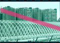 Negativo fotográfico original L'Umbracle recién inaugurado Ciudad de las Artes y las Ciencias Valencia 2000 35mm film Rare