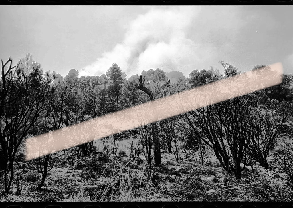 Negativo fotográfico original vegetación calcinada y humo entre el arbolado incendios Los Serranos Valencia 1994 35mm film Rare